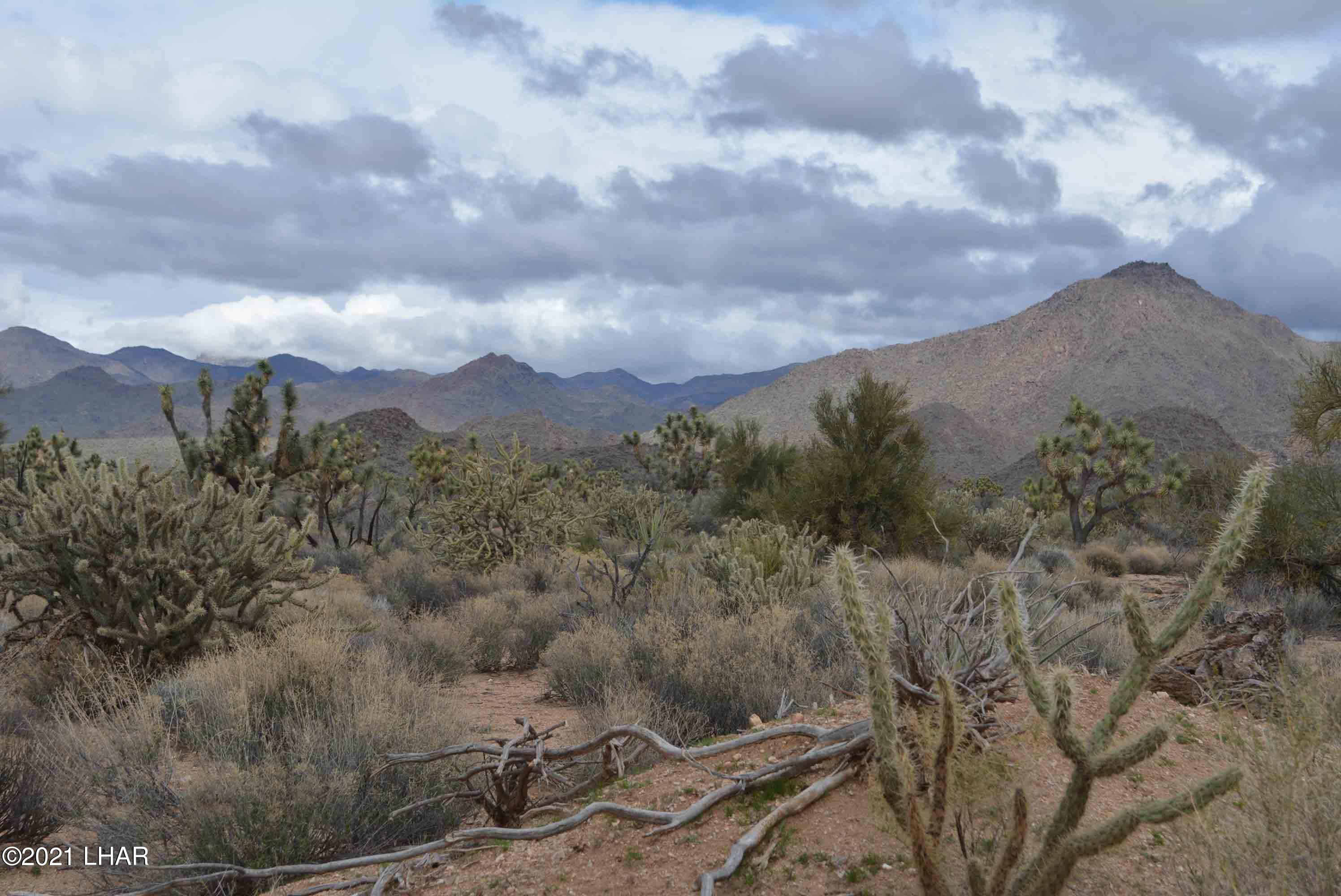 2694 East Rimrock Drive Yucca, AZ 86438 - Photo 11 of 27 DSC_0590