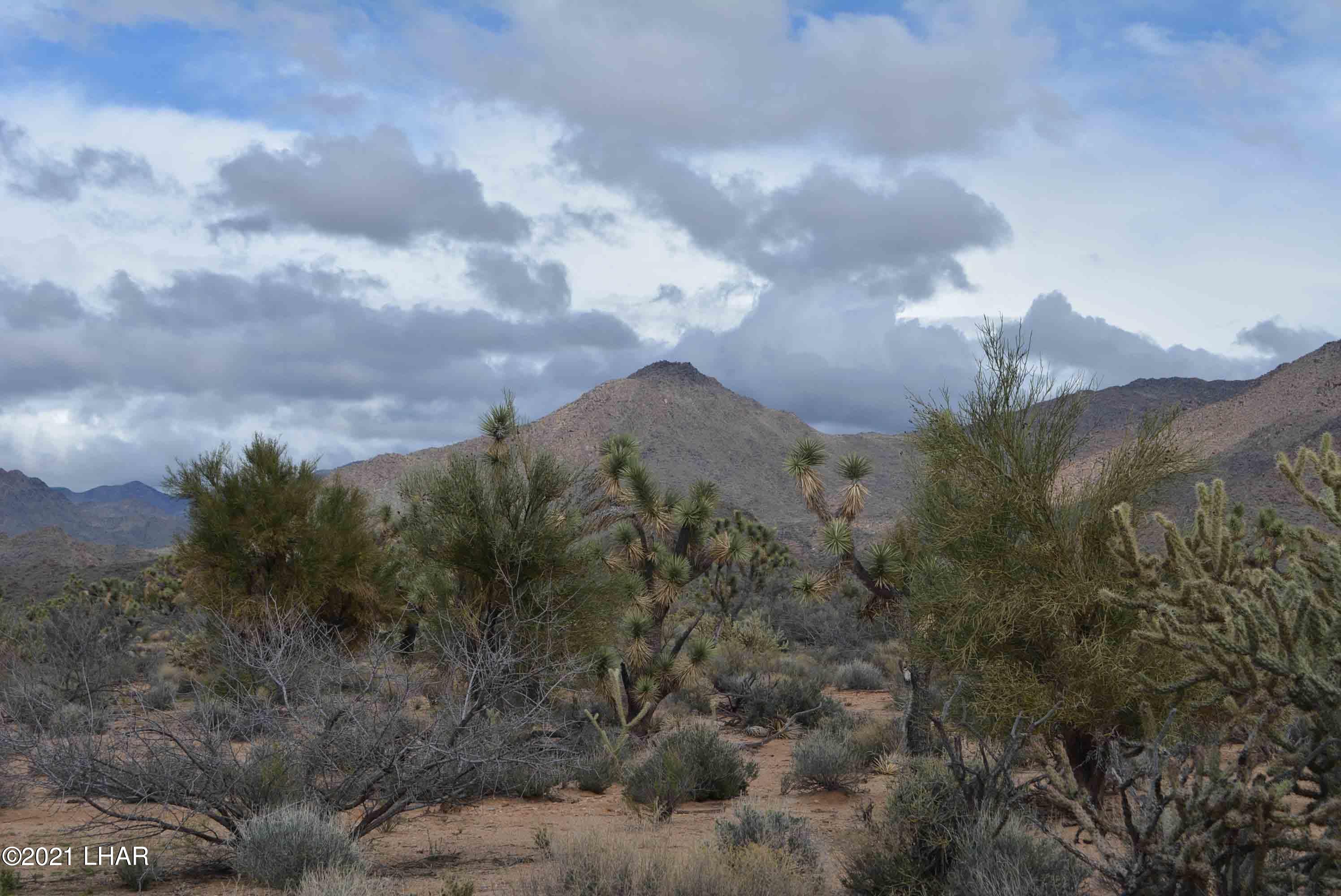 2694 East Rimrock Drive Yucca, AZ 86438 - Photo 12 of 27 DSC_0591