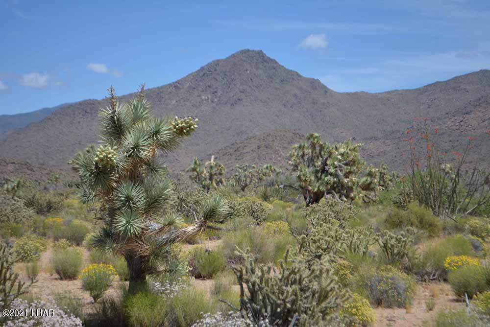 2694 East Rimrock Drive Yucca, AZ 86438 - Photo 13 of 27 DSC_0388 sm