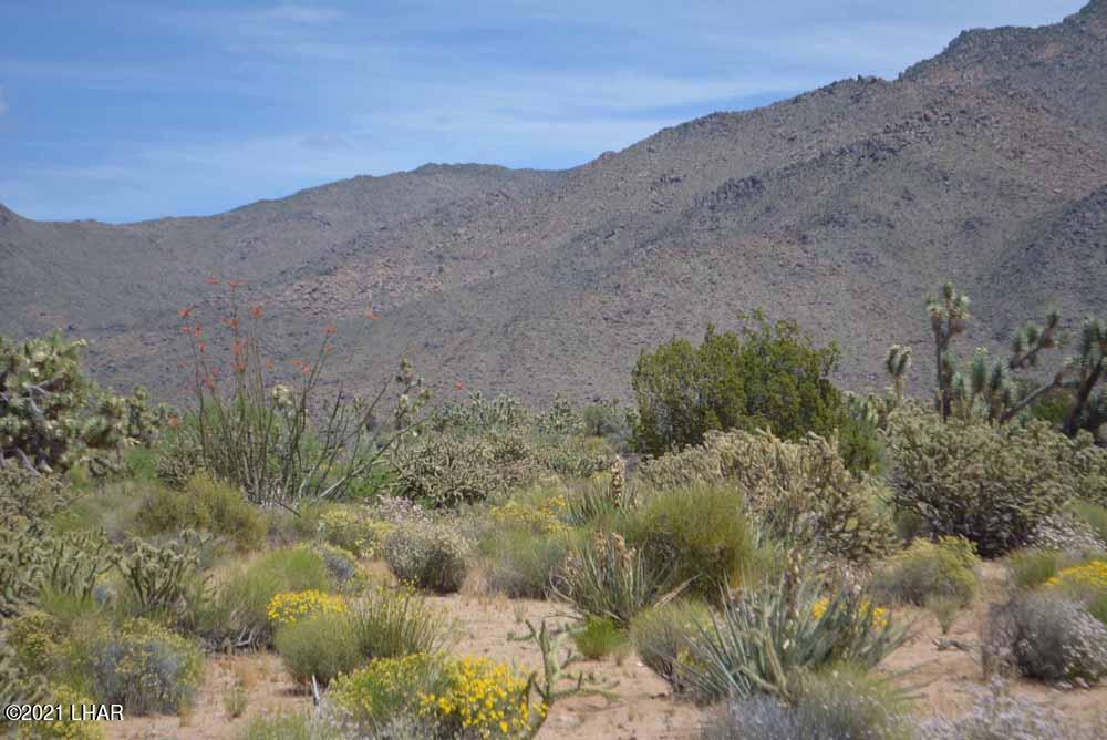 2694 East Rimrock Drive Yucca, AZ 86438 - Photo 14 of 27 DSC_0389 sm
