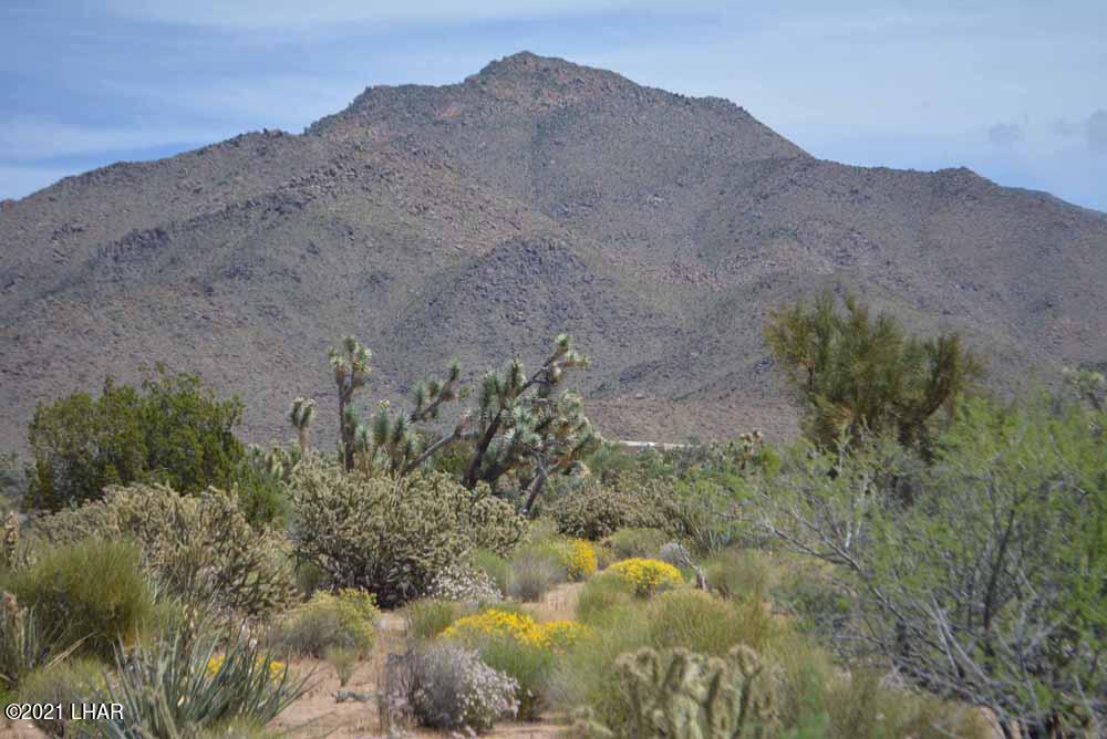 2694 East Rimrock Drive Yucca, AZ 86438 - Photo 15 of 27 DSC_0390 sm
