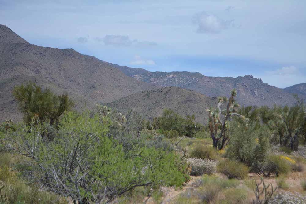 2694 East Rimrock Drive Yucca, AZ 86438 - Photo 16 of 27 DSC_0391 sm