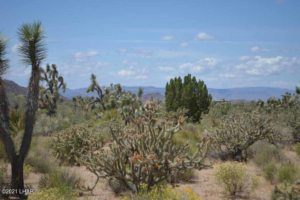 2694 East Rimrock Drive Yucca, AZ 86438 - Photo 19 of 27 DSC_0394 sm