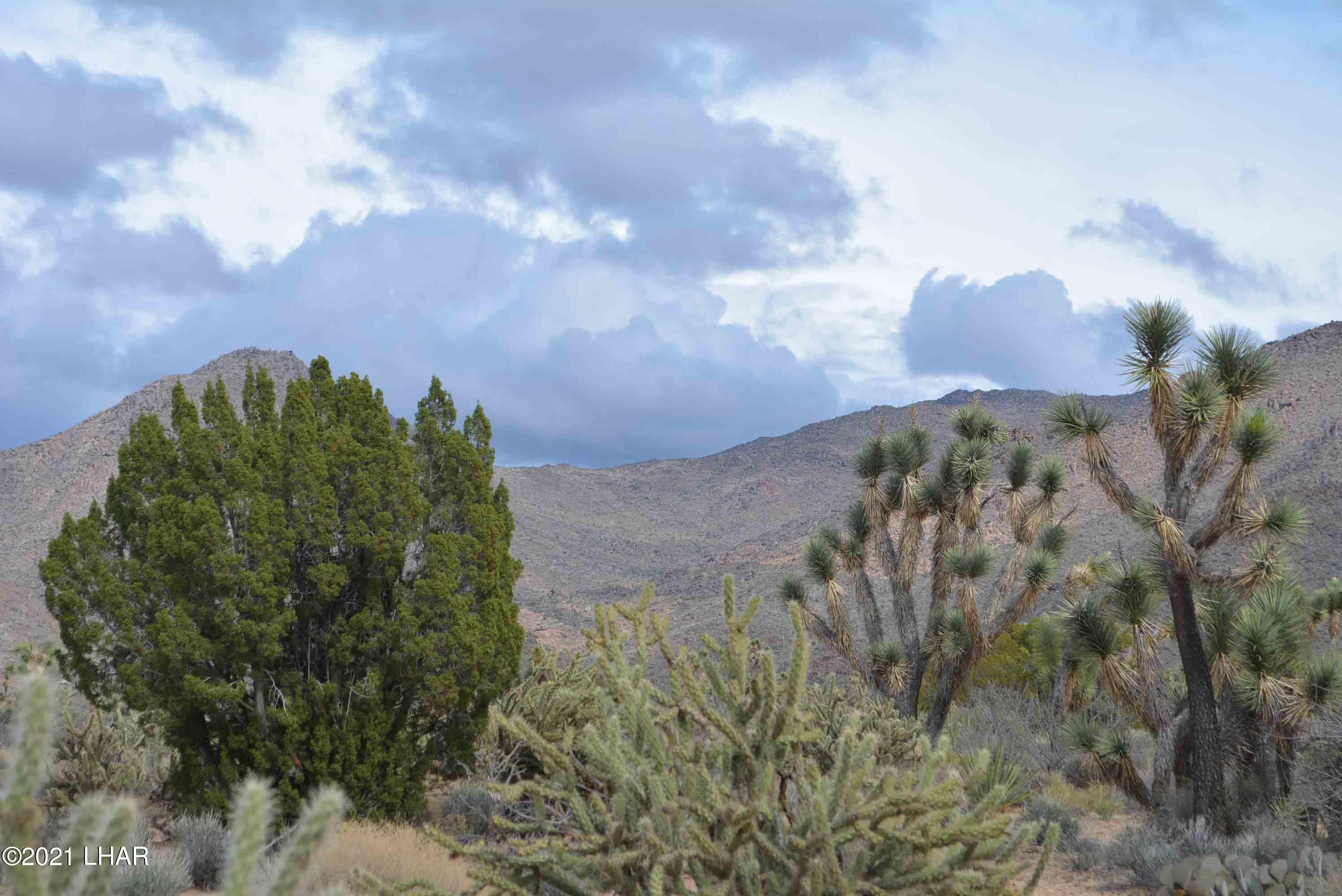 2694 East Rimrock Drive Yucca, AZ 86438 - Photo 2 of 27 DSC_0580