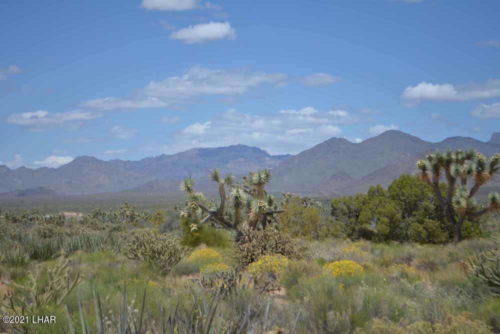 2694 East Rimrock Drive Yucca, AZ 86438 - Photo 21 of 27 DSC_0396 sm