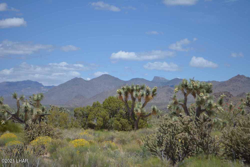 2694 East Rimrock Drive Yucca, AZ 86438 - Photo 22 of 27 DSC_0397 sm