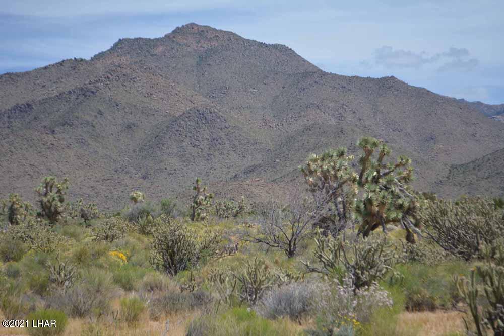 2694 East Rimrock Drive Yucca, AZ 86438 - Photo 24 of 27 DSC_0399 sm