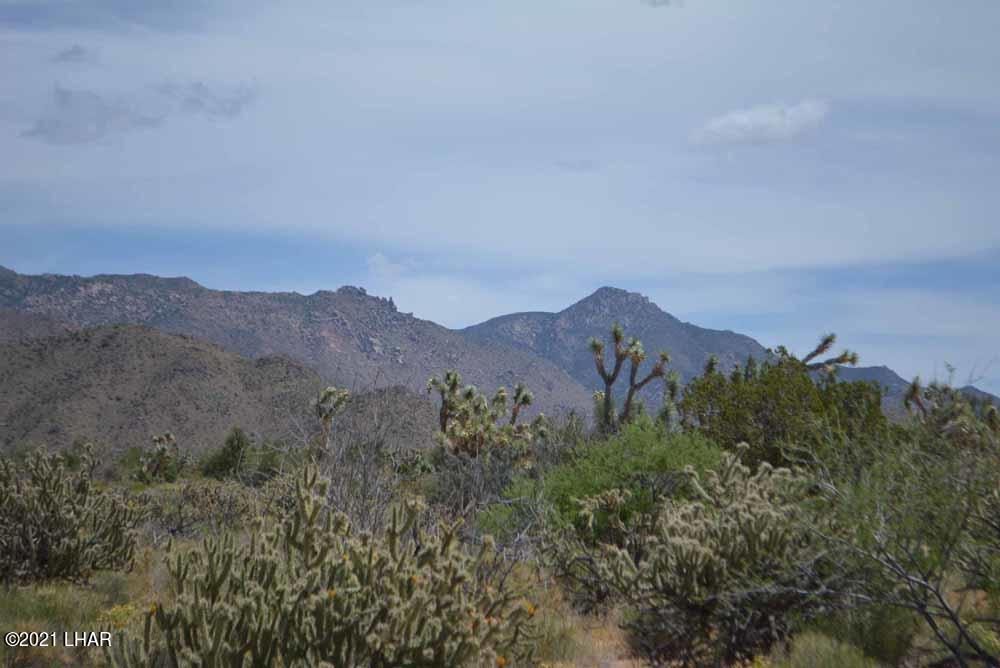 2694 East Rimrock Drive Yucca, AZ 86438 - Photo 26 of 27 DSC_0401 sm