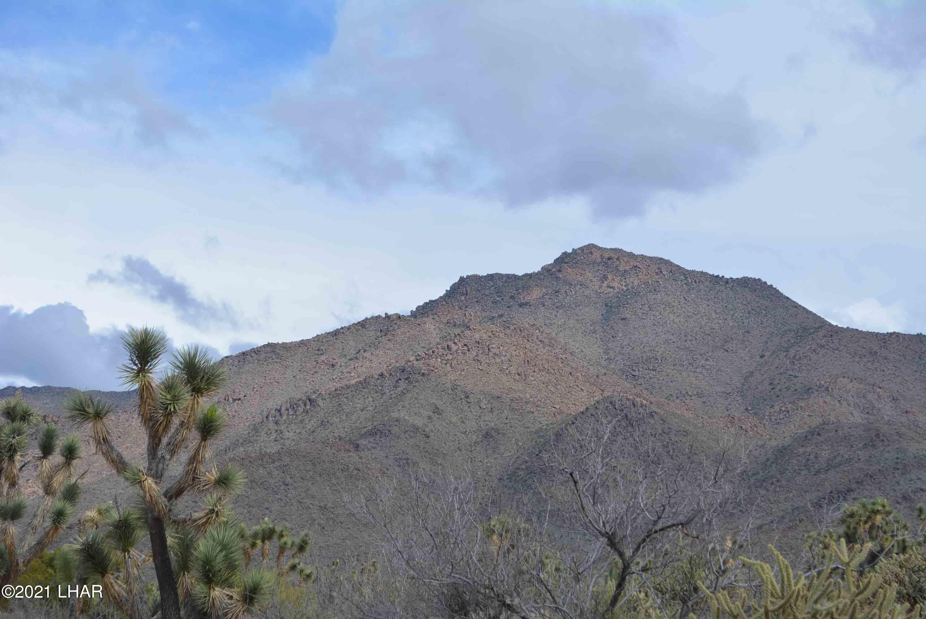 2694 East Rimrock Drive Yucca, AZ 86438 - Photo 3 of 27 DSC_0581