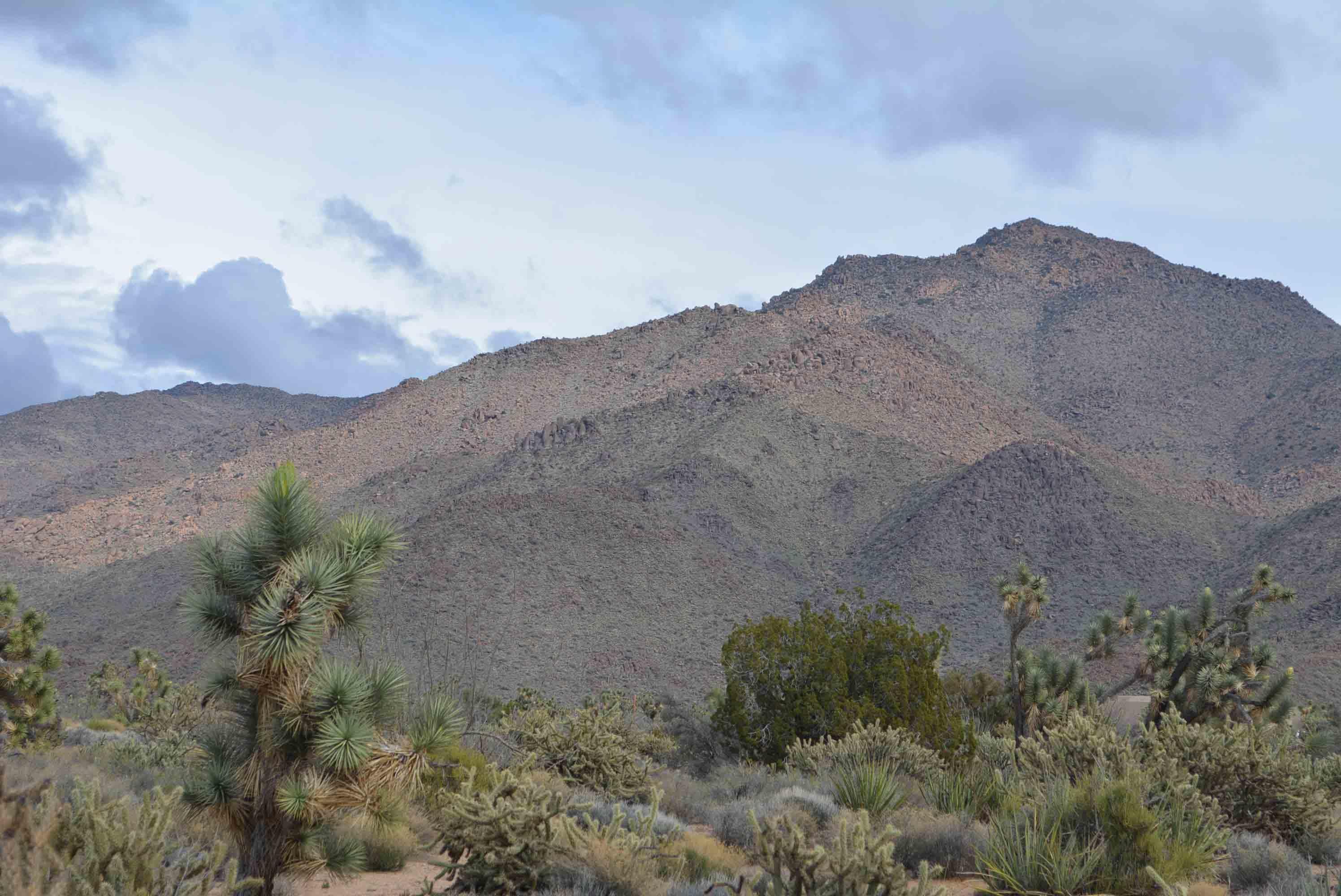 2694 East Rimrock Drive Yucca, AZ 86438 - Photo 5 of 27 DSC_0583