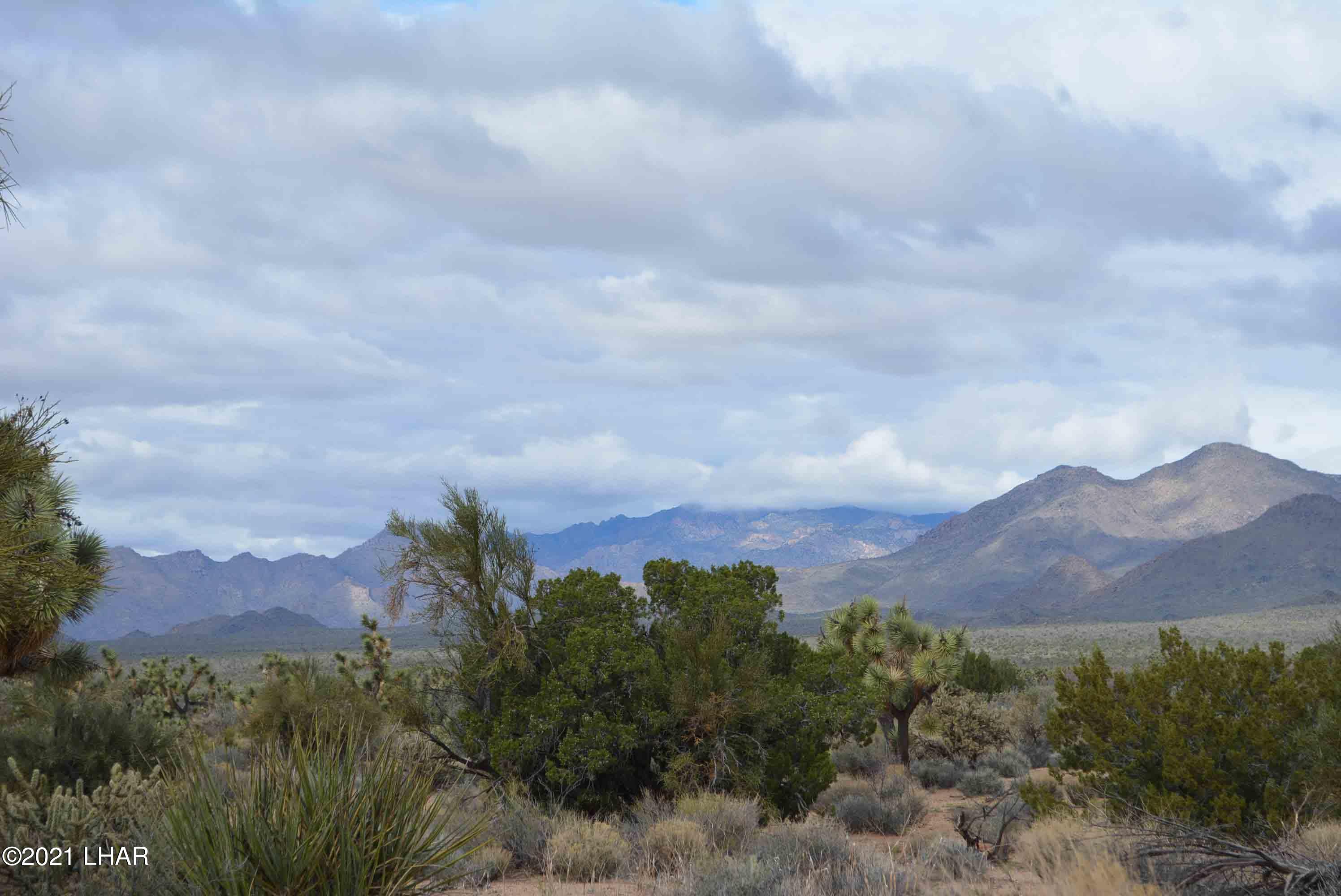 2694 East Rimrock Drive Yucca, AZ 86438 - Photo 7 of 27 DSC_0586