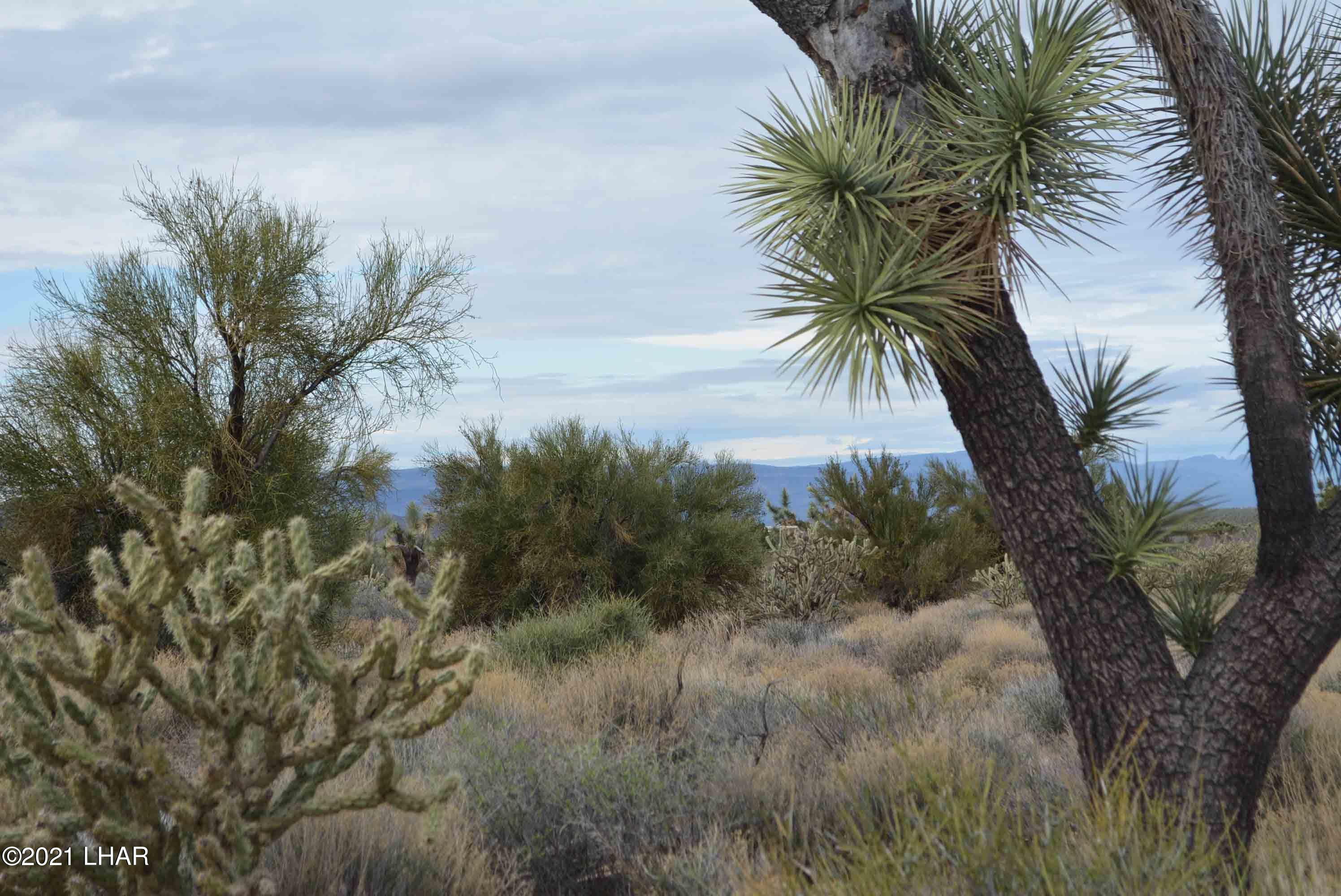 2694 East Rimrock Drive Yucca, AZ 86438 - Photo 10 of 27 DSC_0589