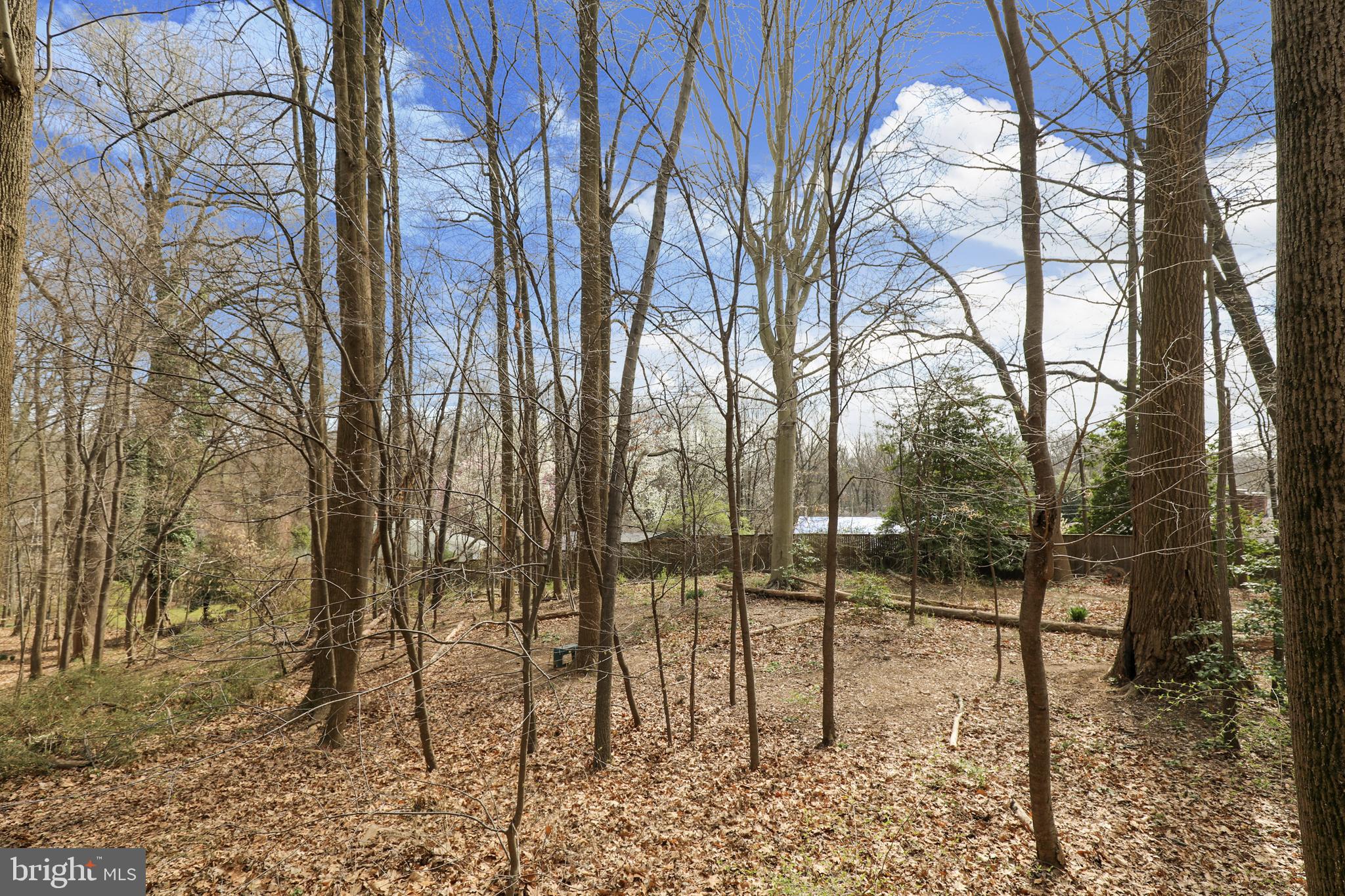 2066 Derby Ridge Lane, Unit 318 Silver Spring, MD 20910 - Photo 28 of 29 View from rear patio