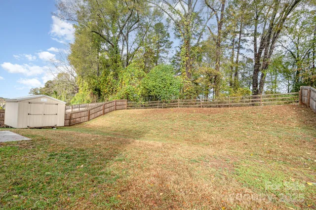 a view of a yard with a tree