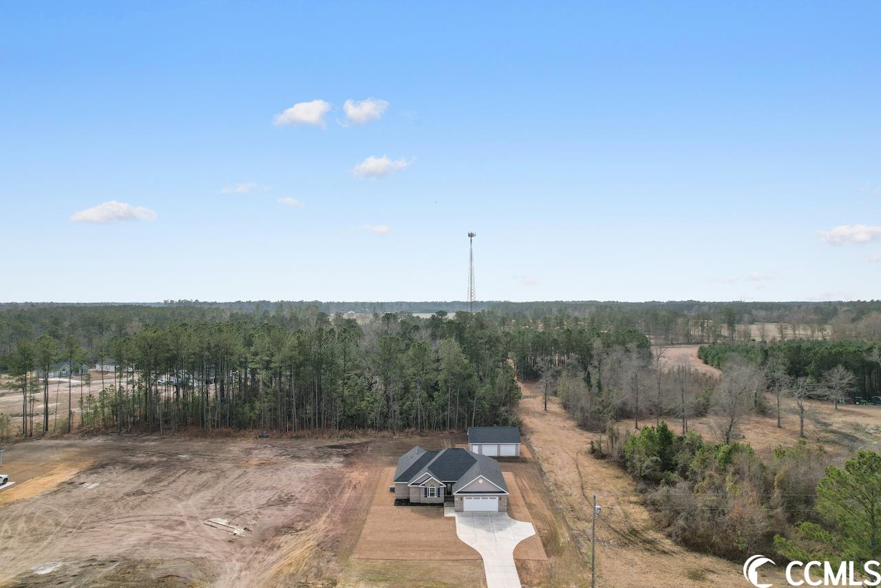 2254 Pearl Road Galivants Ferry, SC 29544 - Photo 35 of 37 Gallery Image 35