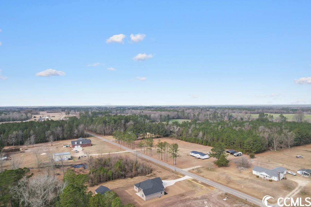 2254 Pearl Road Galivants Ferry, SC 29544 - Photo 36 of 37 Gallery Image 36