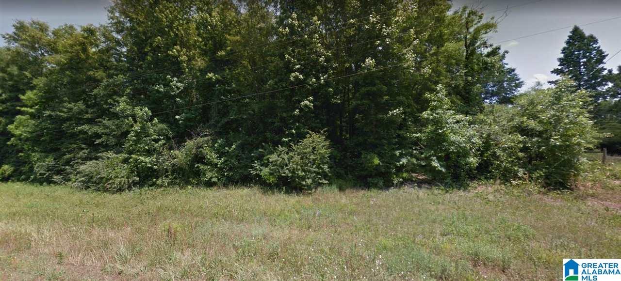 893 County Road Selma, AL 36701 - Photo 1 of 1
