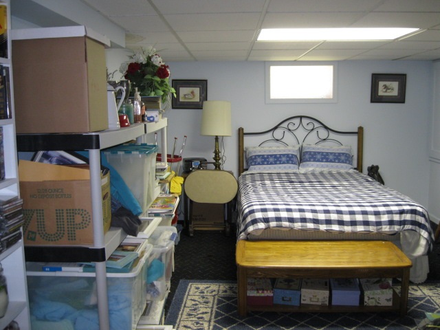 233 Chandler Street Romeo, MI 48065 - Photo 56 of 68 31345755-56.JPG