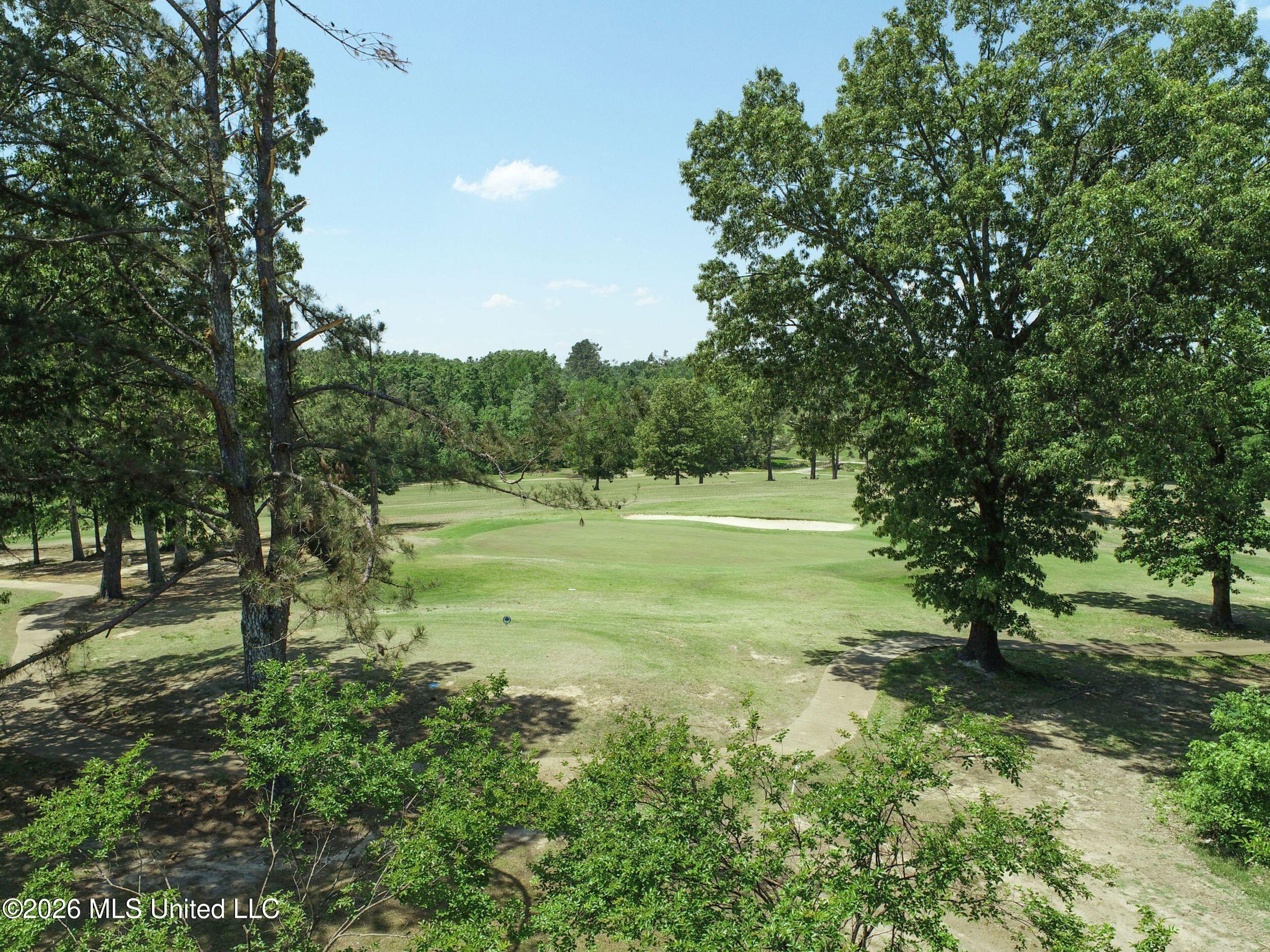 415 Woodland Road Batesville, MS 38606 - Photo 30 of 120 2rlawk31