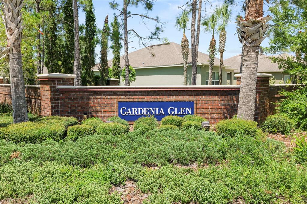 8775 Sentiero Drive Land O Lakes, FL 34637 - Photo 64 of 76