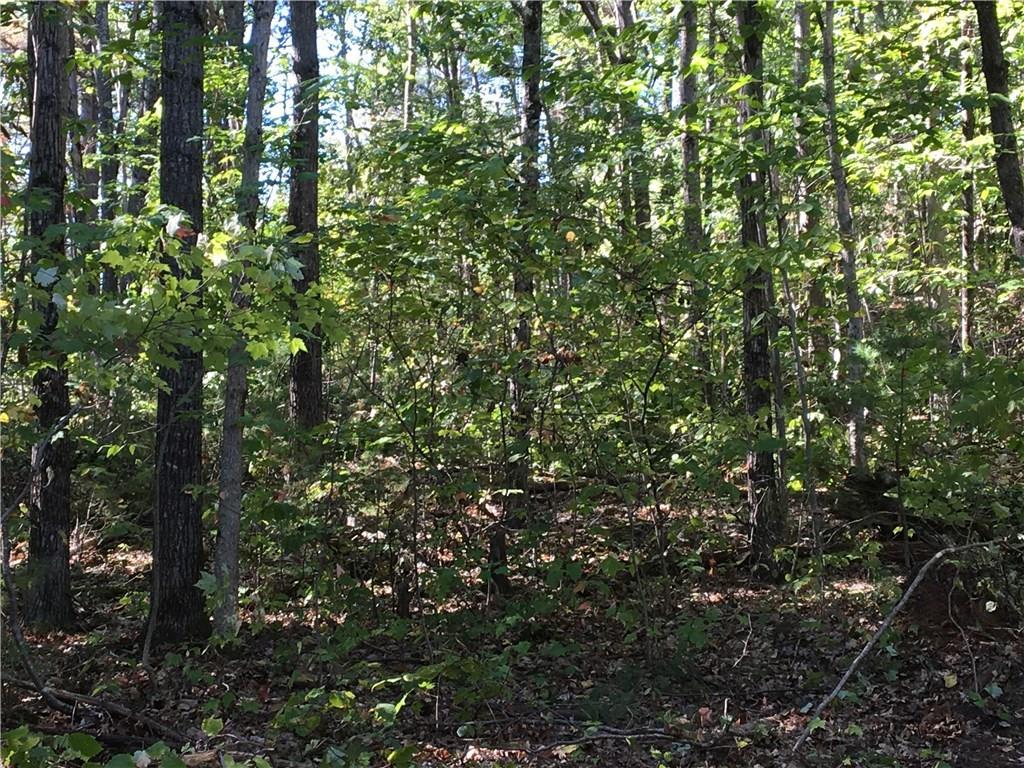 Lot A Blair Road Augusta, ME 04330 - Photo 5 of 5 Photo