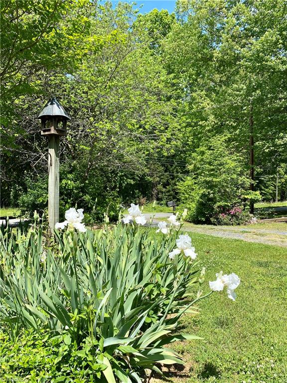 4600 Huntingwood Road Ramseur, NC 27316 - Photo 19 of 38 Gallery Image 19