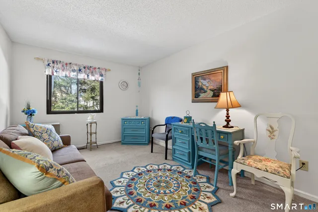 a living room with furniture a rug and a window