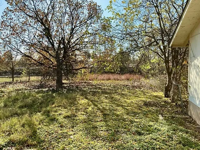 a view of outdoor space and yard