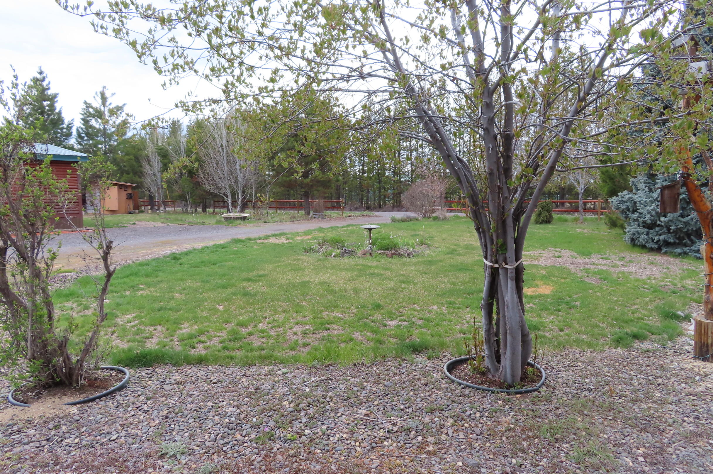 51240 Dianne Road La Pine, OR 97739 - Photo 18 of 45 Multiple types of trees