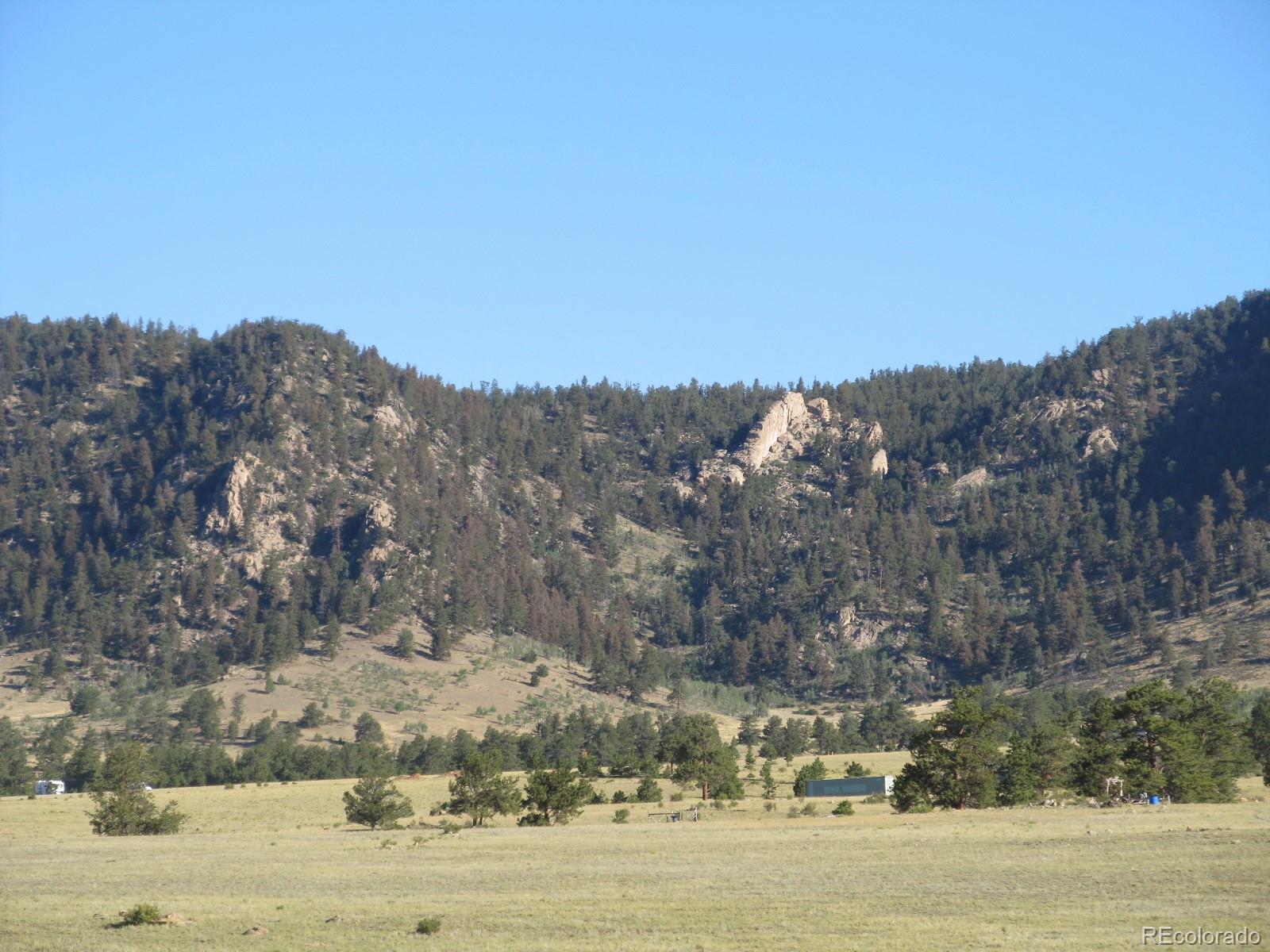 7186 Park Road Lake George, CO 80827 - Photo 1 of 8 a view of a town with mountains