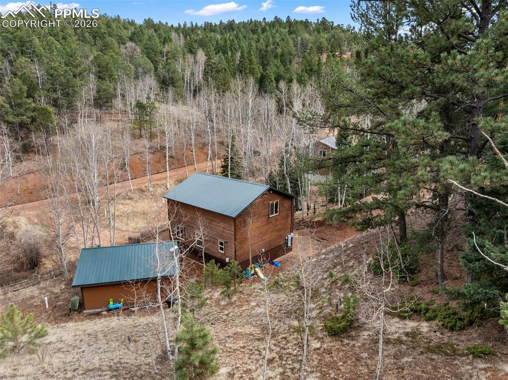 325 Willow Road Divide, CO 80814 - Photo 43 of 49