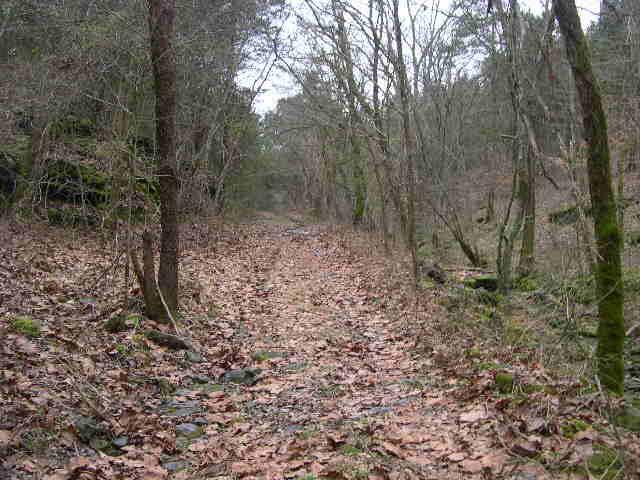 812 Cathcart Road Dowelltown, TN 37059 - Photo 1 of 12 Farm road to rear of property
