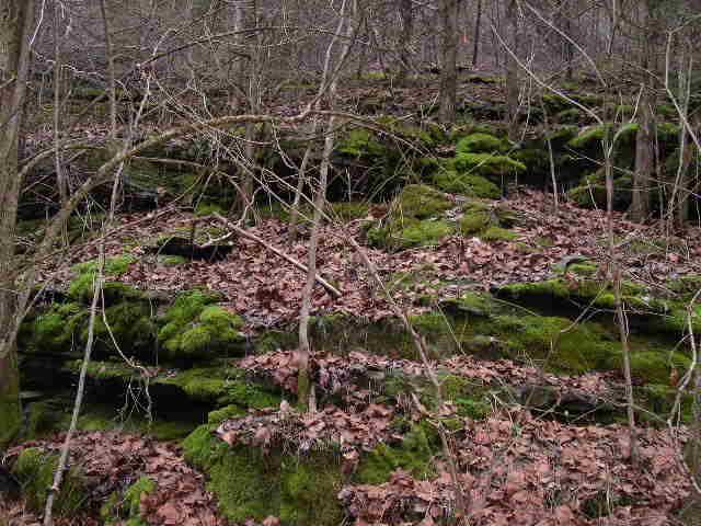 812 Cathcart Road Dowelltown, TN 37059 - Photo 11 of 12 Hillside