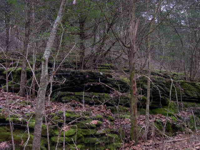 812 Cathcart Road Dowelltown, TN 37059 - Photo 12 of 12 Get away from it all!