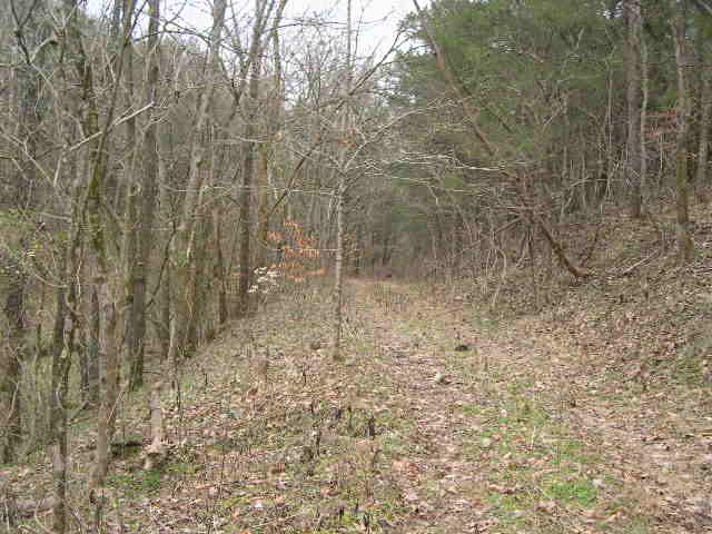 812 Cathcart Road Dowelltown, TN 37059 - Photo 2 of 12 Private retreat from everyday life