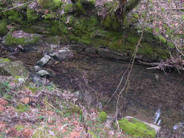 812 Cathcart Road Dowelltown, TN 37059 - Photo 3 of 12 Stream running thru property