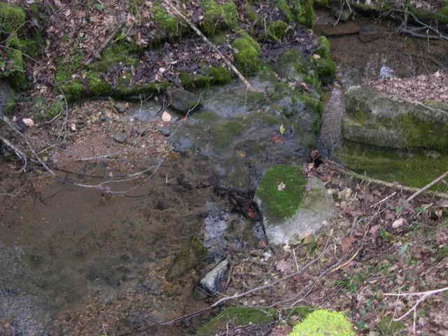 812 Cathcart Road Dowelltown, TN 37059 - Photo 4 of 12 Stream
