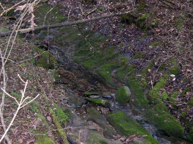 812 Cathcart Road Dowelltown, TN 37059 - Photo 5 of 12 Another view of spring fed stream