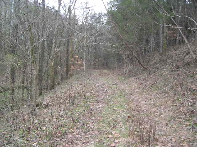812 Cathcart Road Dowelltown, TN 37059 - Photo 6 of 12 Great setting for peace, relaxation, trail riding, hunting, camping