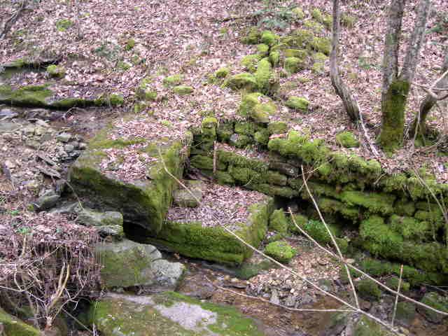 812 Cathcart Road Dowelltown, TN 37059 - Photo 7 of 12 Moss covered rocks around stream