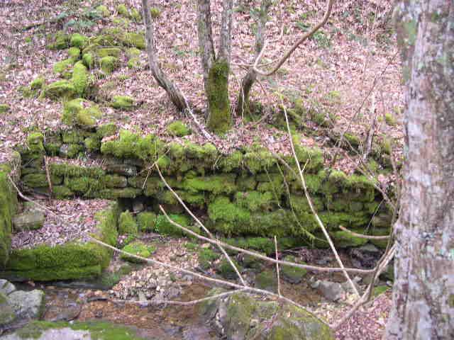 812 Cathcart Road Dowelltown, TN 37059 - Photo 8 of 12 Back to nature