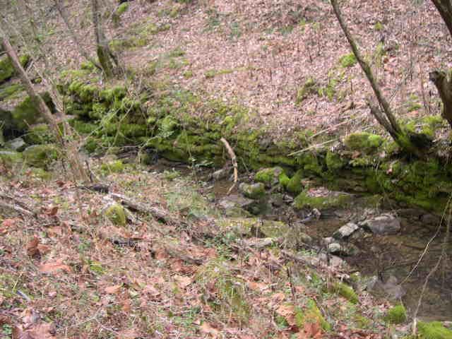 812 Cathcart Road Dowelltown, TN 37059 - Photo 9 of 12 Another back to nature photo