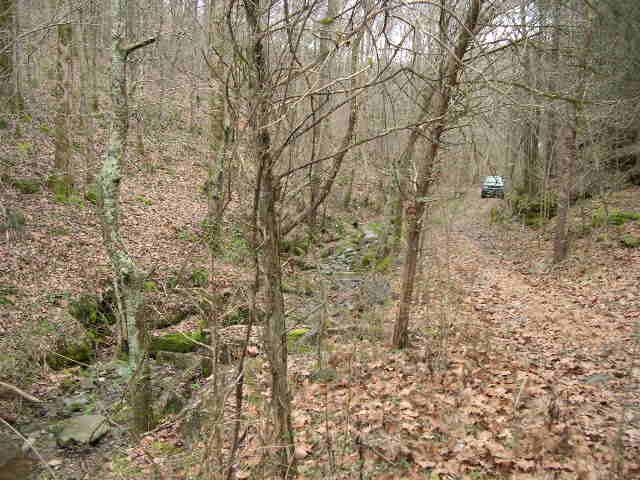 812 Cathcart Road Dowelltown, TN 37059 - Photo 10 of 12 Total seclusion; Center Hill Lake less than10 miles away