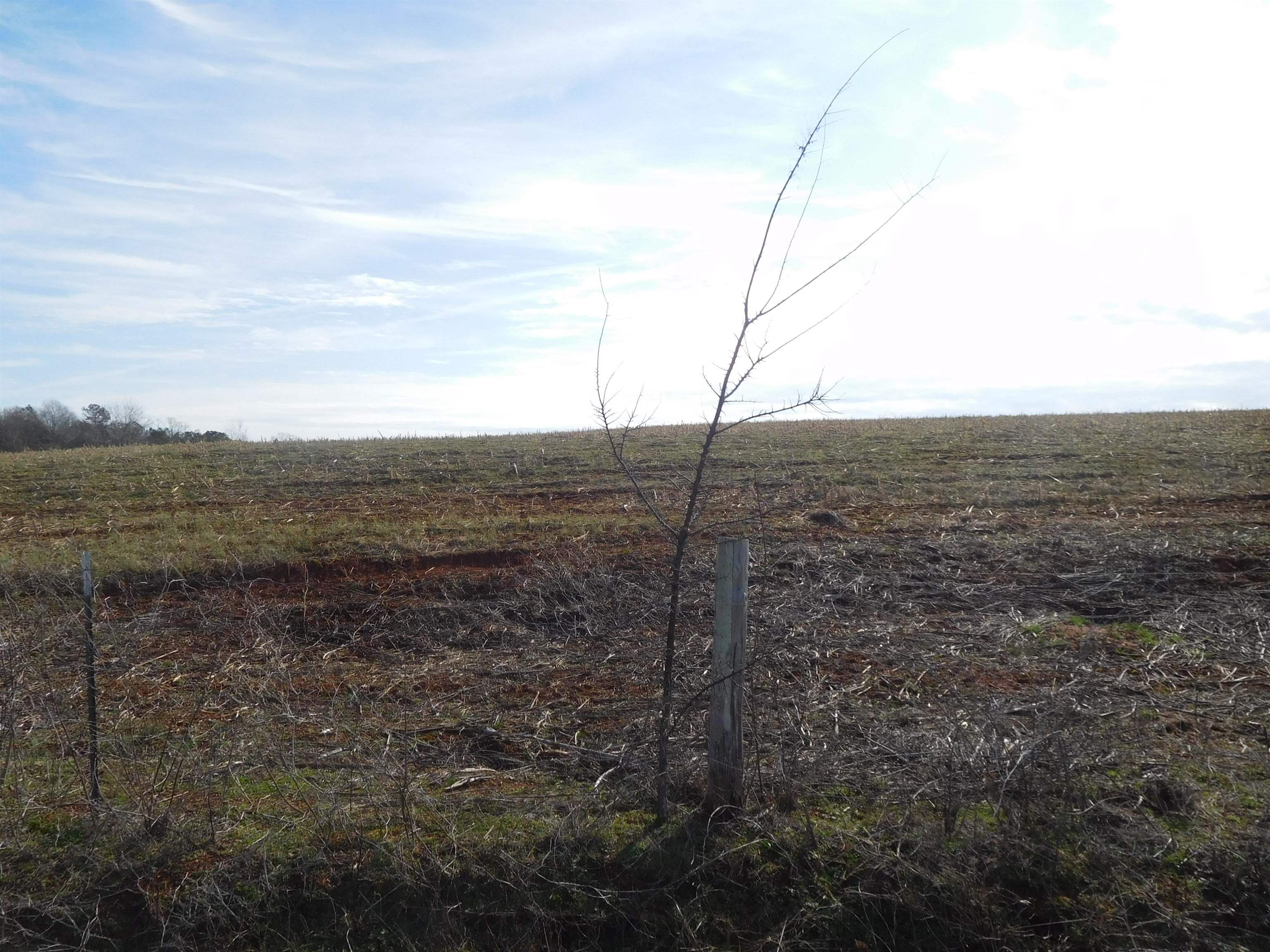 Tbd Billy Goat Bridge Road Gaffney, SC 29340 - Photo 3 of 7 Gallery Image 3