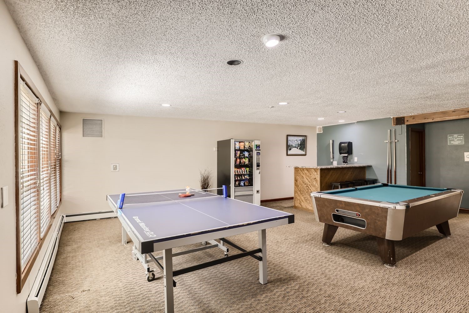 89410 Ryan Gulch Road, Unit 207 Silverthorne, CO 80498 - Photo 21 of 28