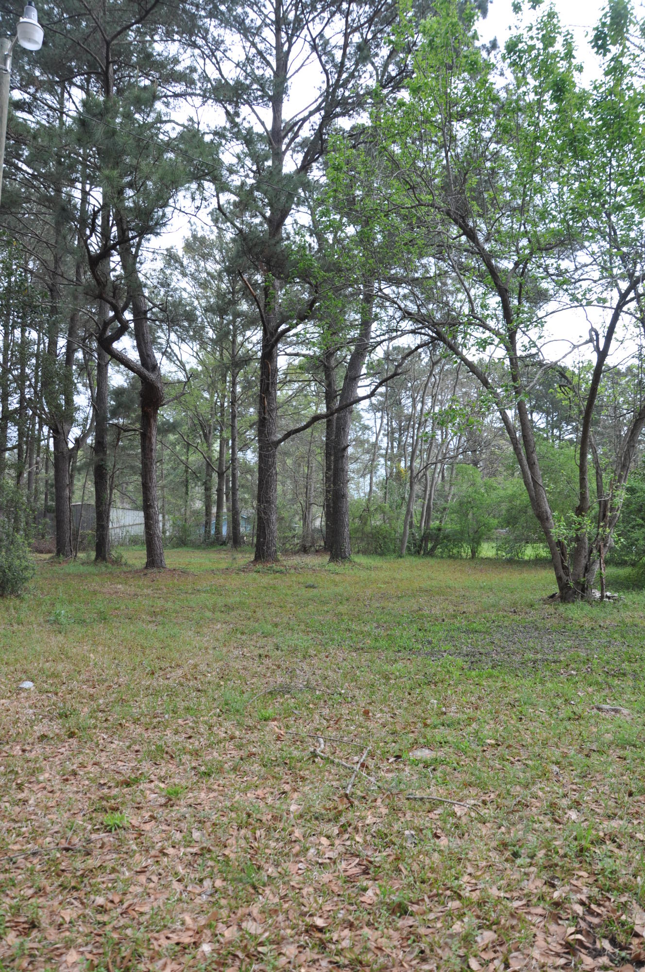 2428 Otranto Road North Charleston, SC 29406 - Photo 18 of 20 MLS (16).JPG