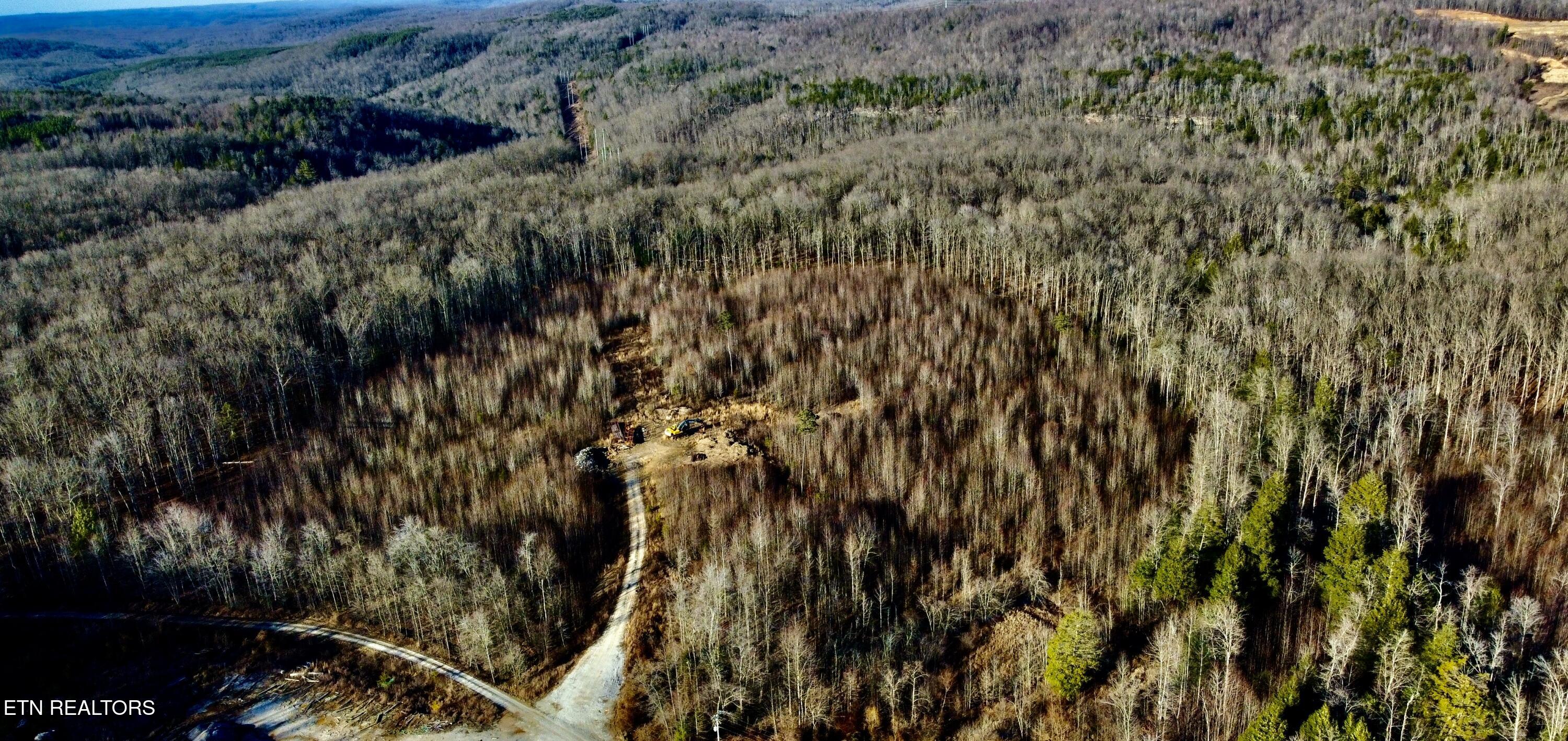 30-009.00 30-009.00 (lot 10) Road Oneida, TN 37841 - Photo 2 of 10 Photo Feb 03 2025, 4 16 27 PM