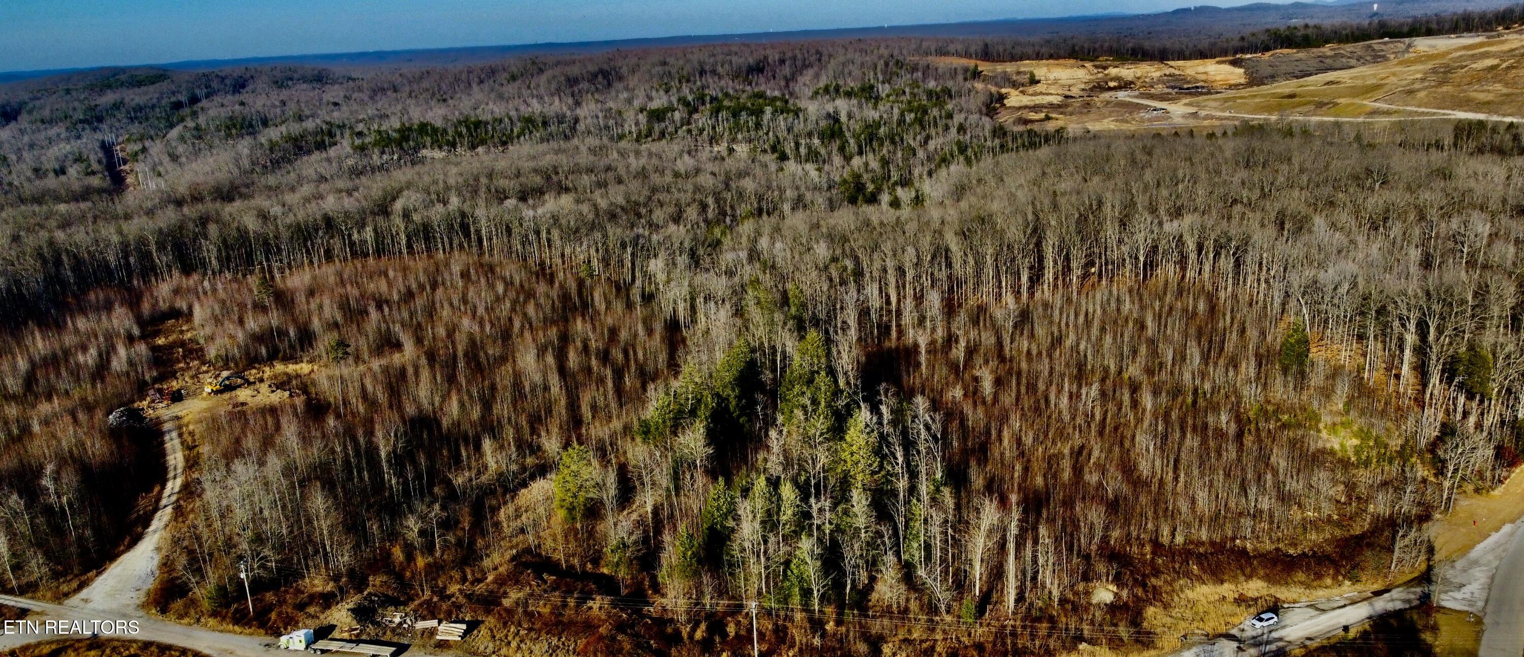 30-009.00 30-009.00 (lot 10) Road Oneida, TN 37841 - Photo 6 of 10 Photo Feb 03 2025, 4 15 28 PM