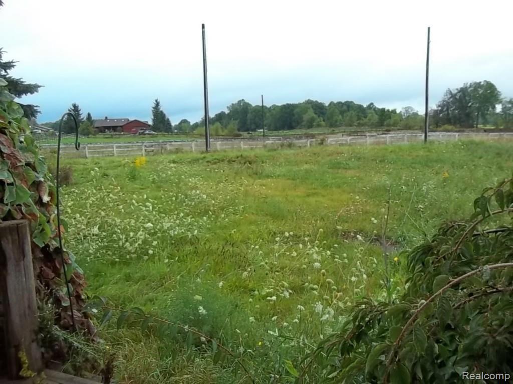 10400 Chase Lake Road Fowlerville, MI 48836 - Photo 26 of 29 back yard.jpg