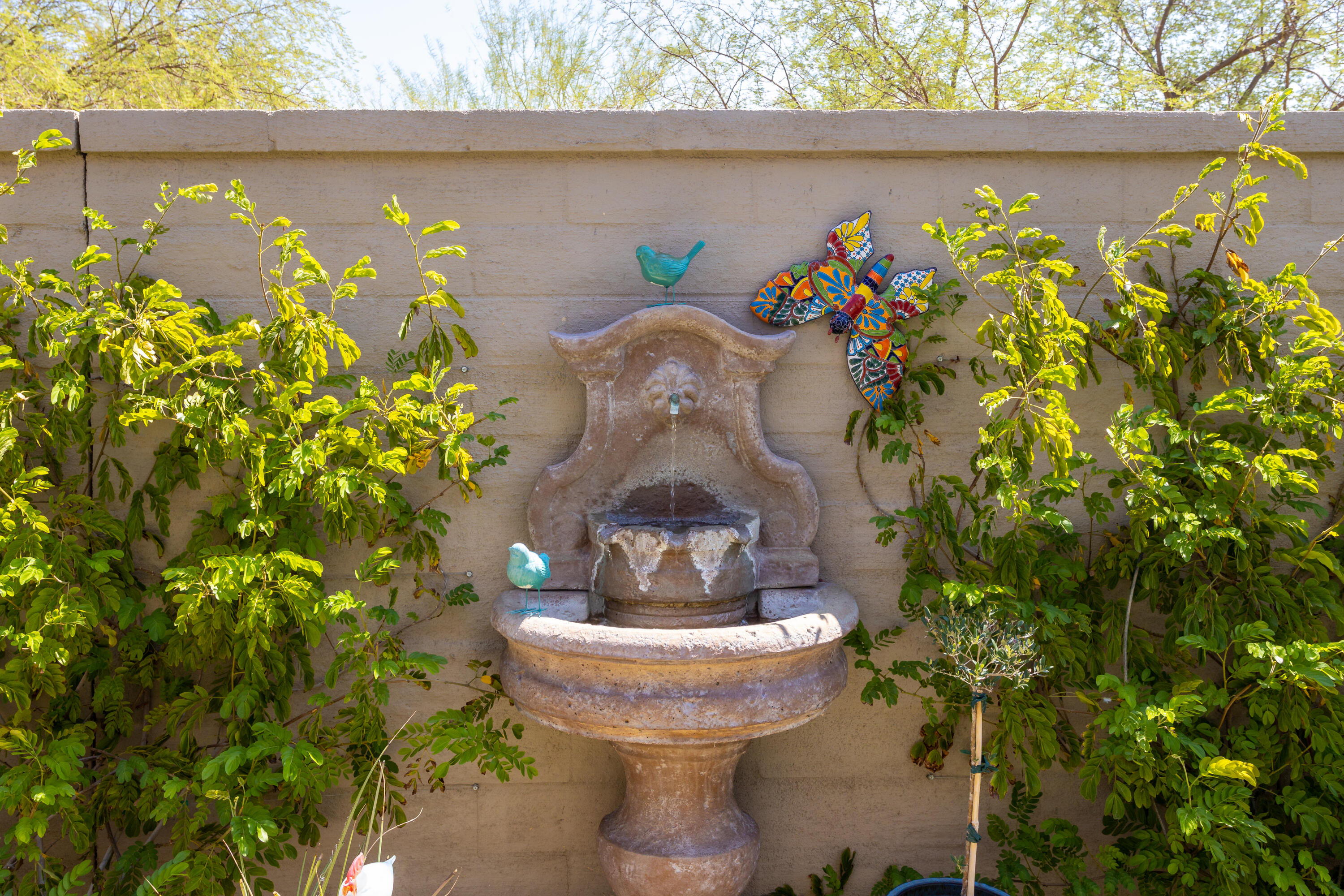 61 Syrah Rancho Mirage, CA 92270 - Photo 39 of 61 501A0313